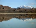 Mirror Reflection