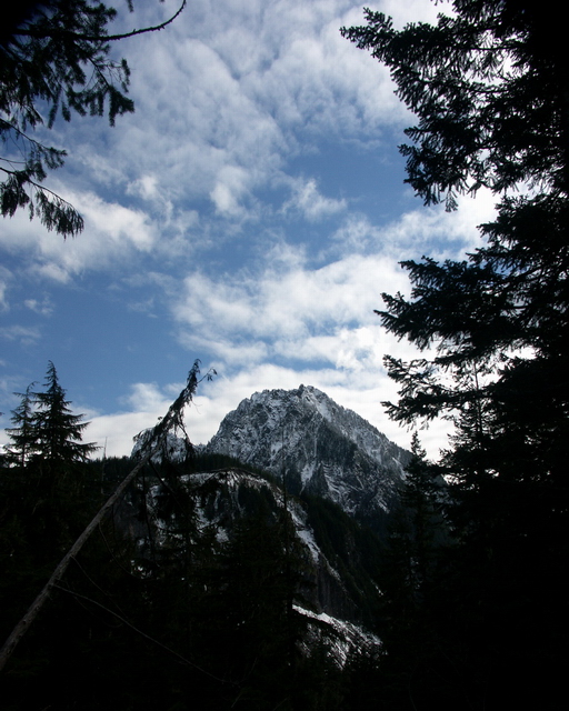 Nisqually Glacier 2