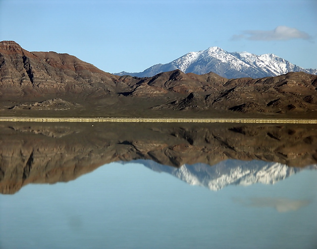 Mirror Reflection