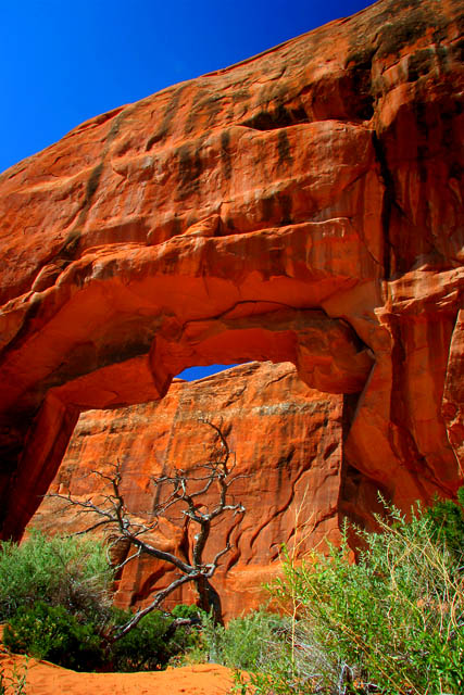 wall arch