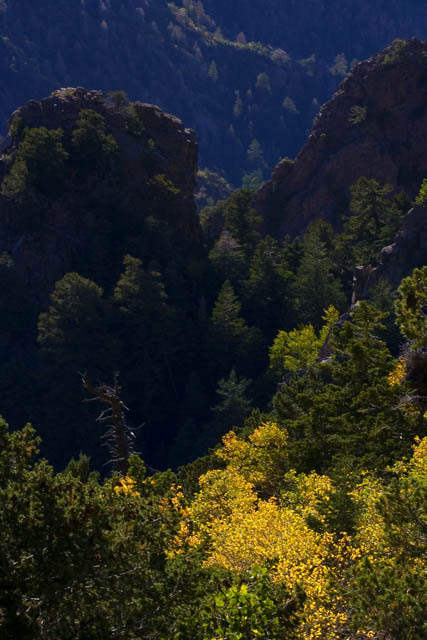 fall colors