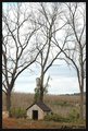 Tiny House