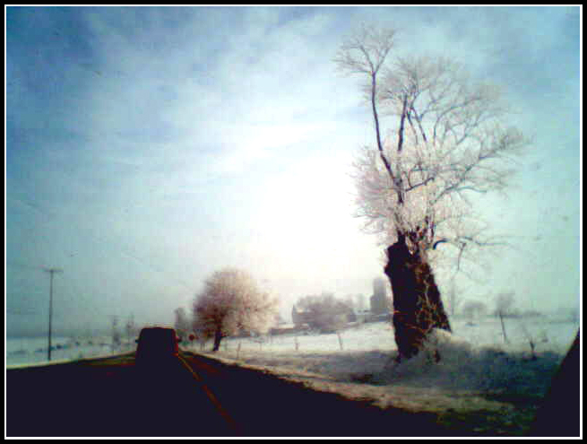 Snowy_Road.jpg