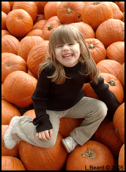 My Pumpkin, in Pumpkins!