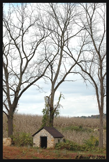 Tiny House