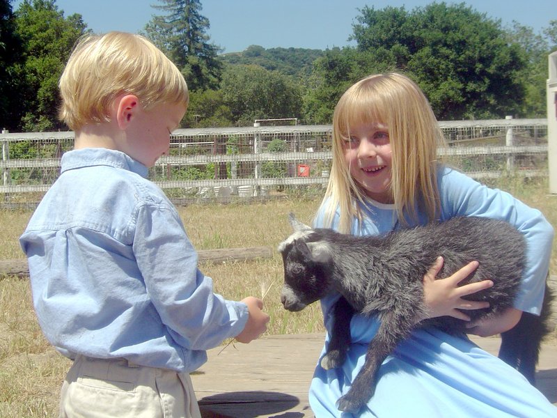 katie&michaelfeedinggoat.JPG