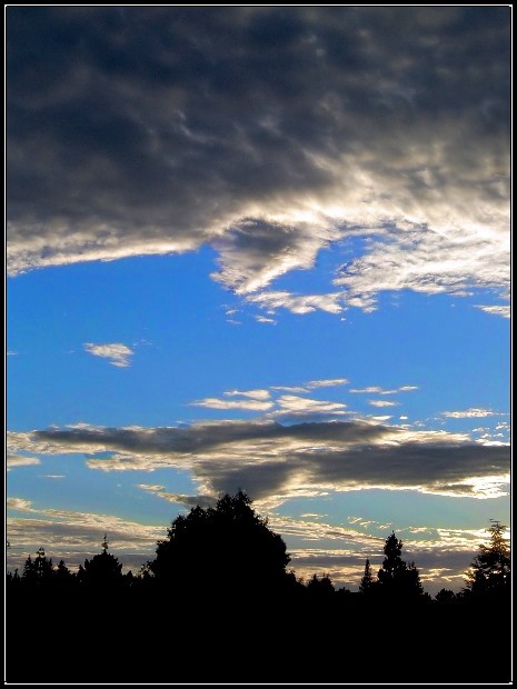Cloudy Day