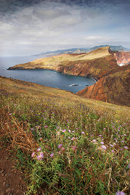 Punta de San Lourenco