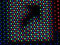 P3041015web.jpg