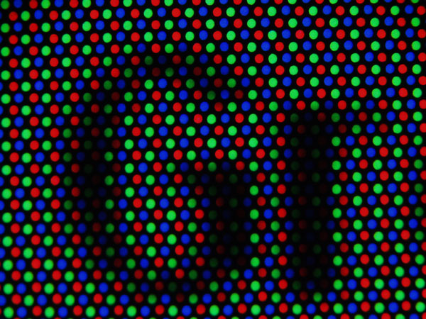 P3040966web.jpg