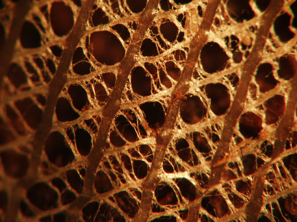 P3040984web.jpg