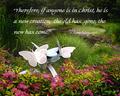 New Life in Christ