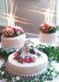 cake glow 5x7.jpg