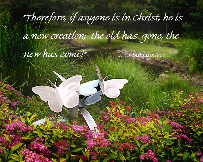 New Life in Christ