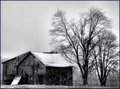 Barnside