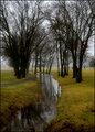 The Traveling Puddle