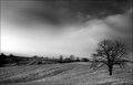 Country