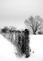 Winter Fence