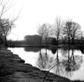 Black and White Reflection