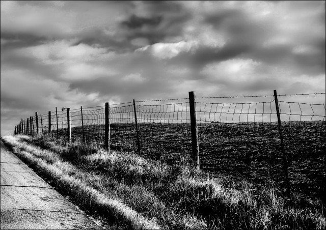 The Fence