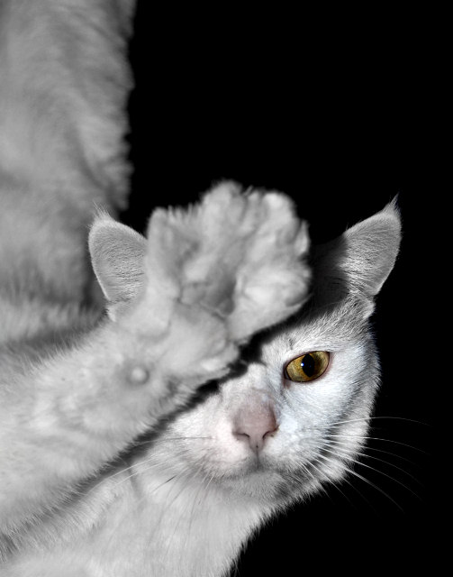 Wait! I'm not ready!