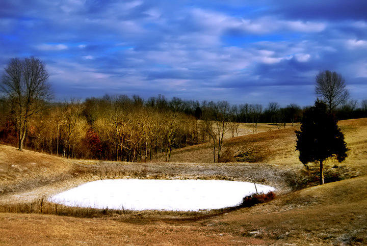 Winter Pond