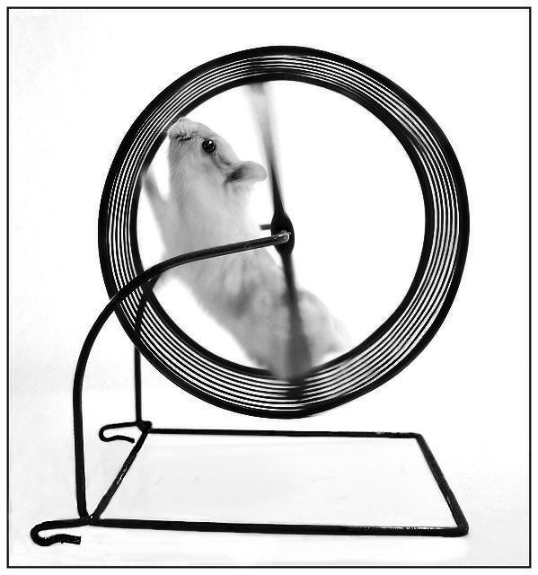 Black and white version