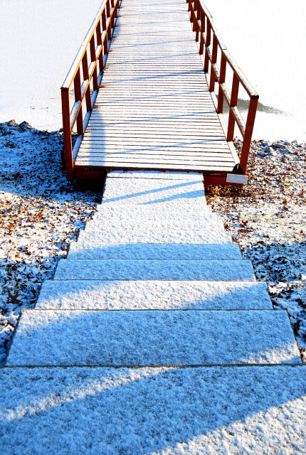 Snowy Path