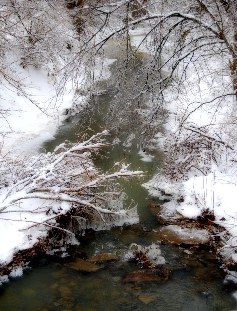 Frozen Creek