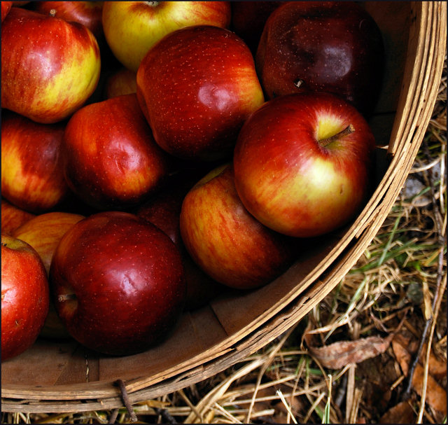 Apple Out take 1