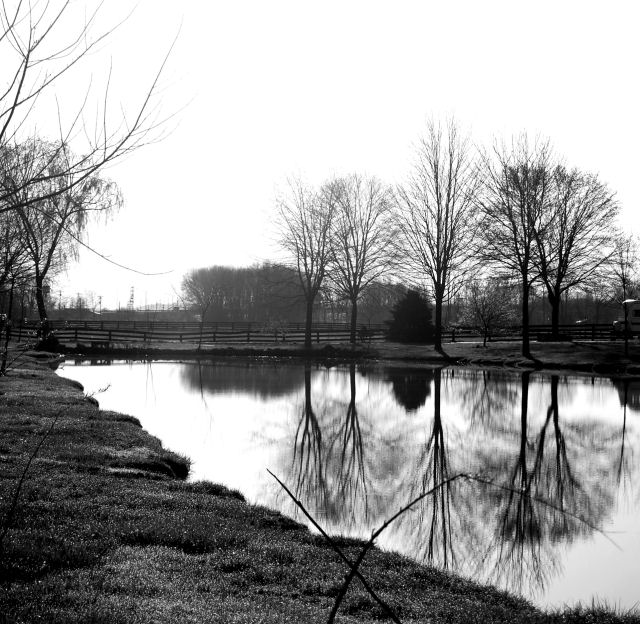 Black and White Reflection