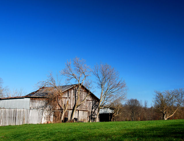 Morning Farm