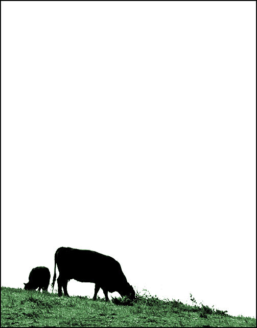 Grazing 