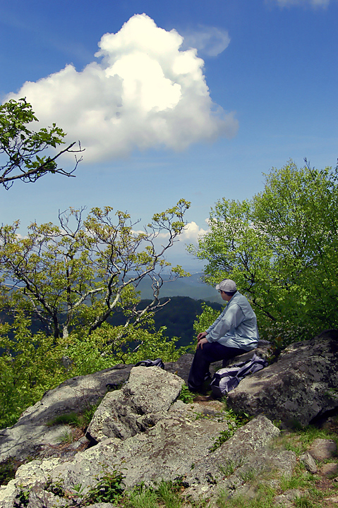 (June 6th) Resting Spot