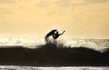 Surfer