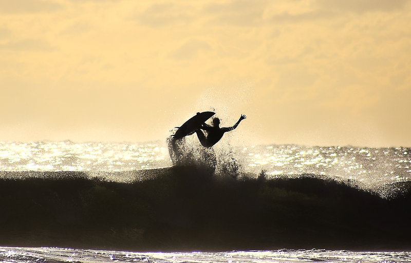 Surfer