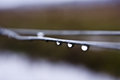 droplets.jpg