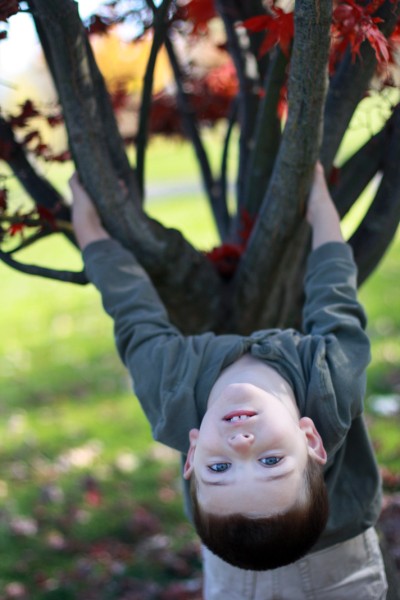 caleb at the park.jpg