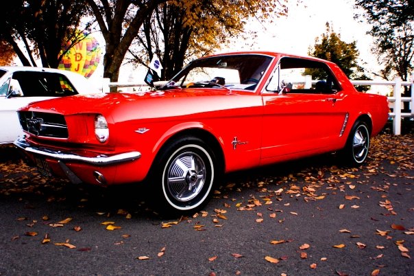 drews mustang.jpg