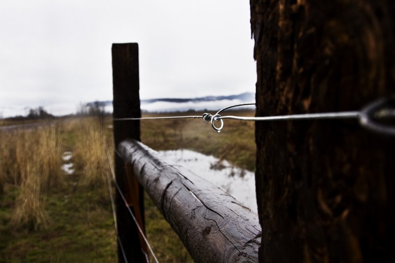 fence 