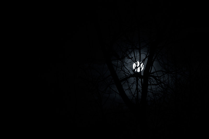 full-moon-3.jpg