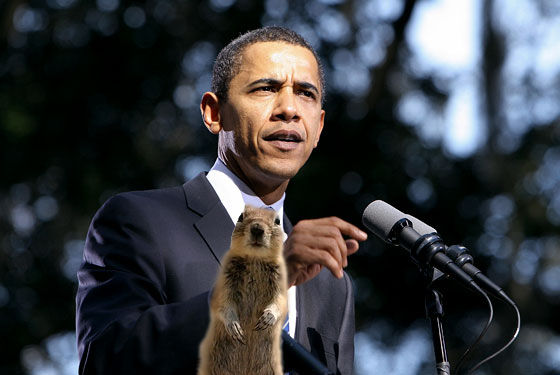 obamasquirrel.jpg