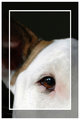 Roxy-040509