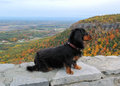 Woody-Thatcher Park-101809