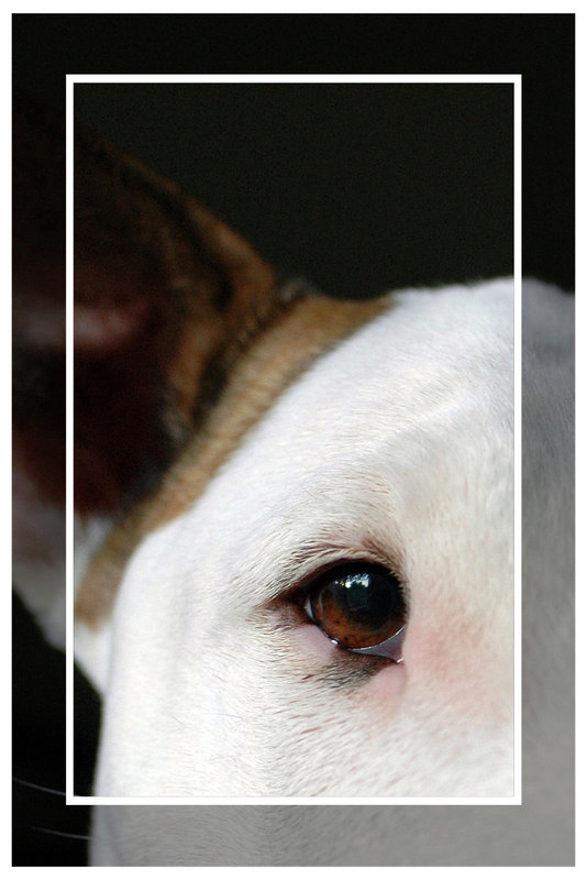 Roxy-040509