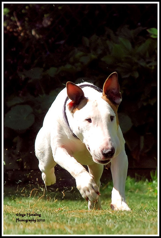 Roxy-091110b
