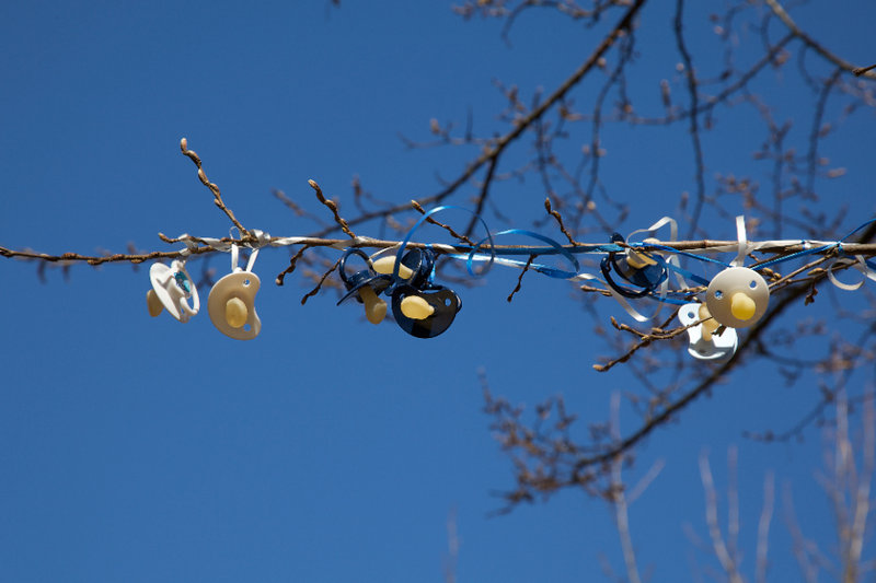 Branch of the Dummy Tree