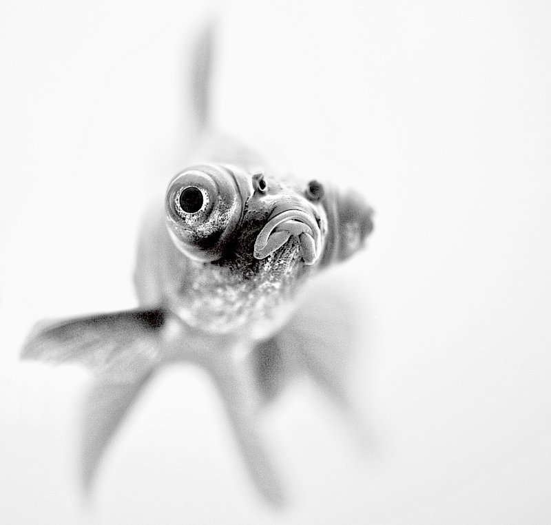 Ready for my closeup...