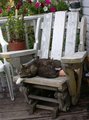 Deep-Sleep.jpg