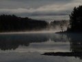 Morning Mist.jpg